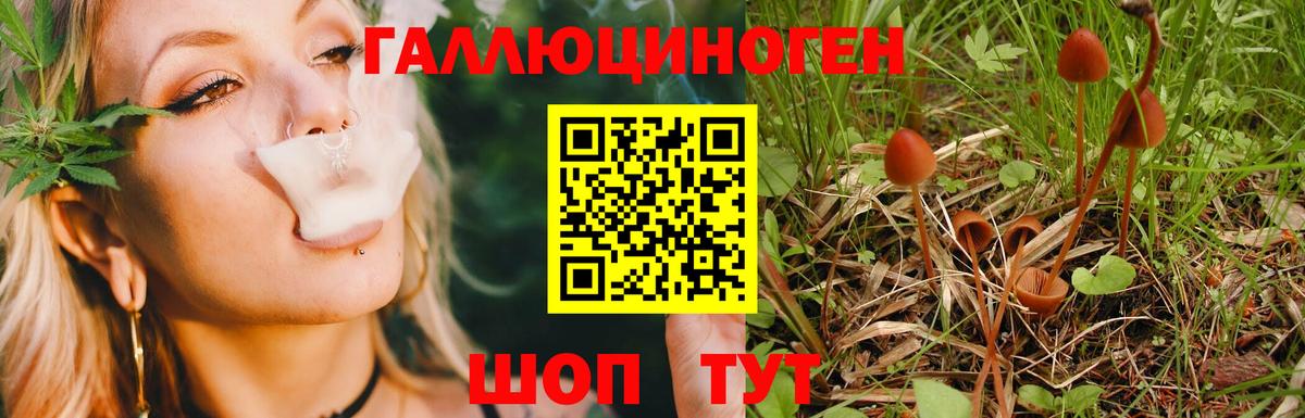 Галлюциногенные грибы Psilocybe  Вход с VPN  Белгород 